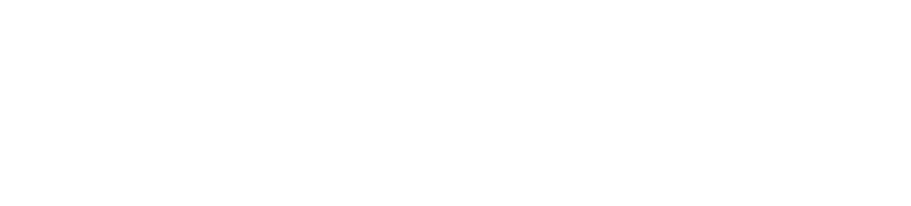 Logo Bianco Wonder Image